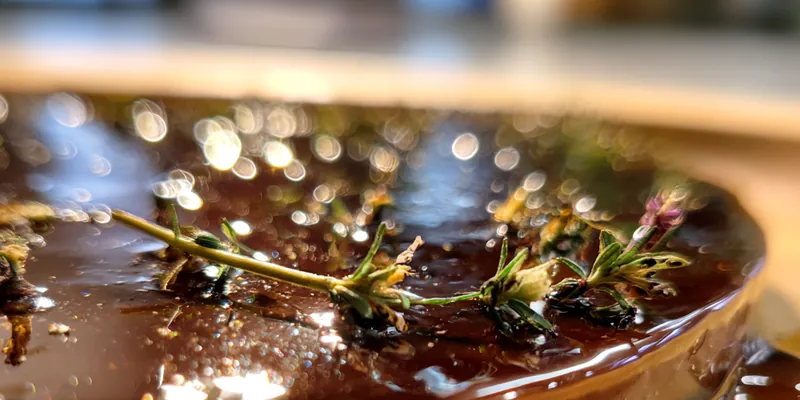 Delicious Midnight Cocoa Mousse on plate